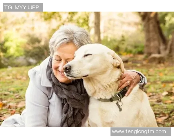 足球明星与他们忠实的狗狗们共同谱写的温馨故事